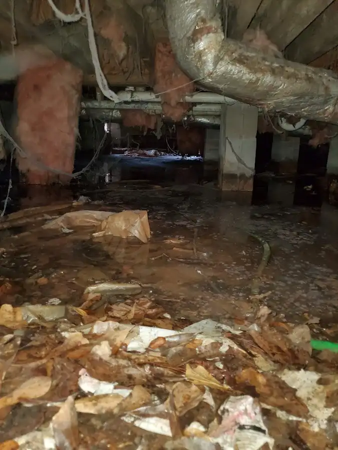 Crawl space flood assessment for Leak Detection & Repair in Leicester