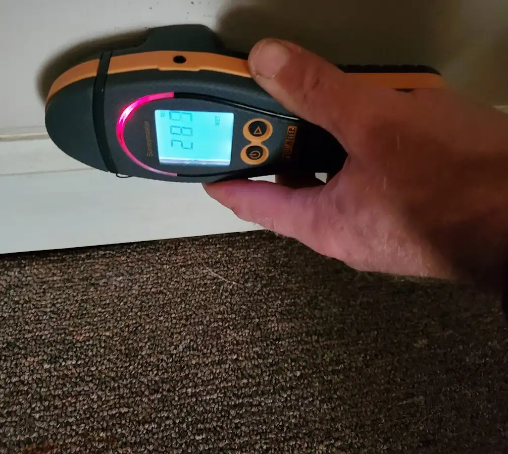 Moisture detection at baseboard during Sewage Cleanup & Sanitation in Leicester